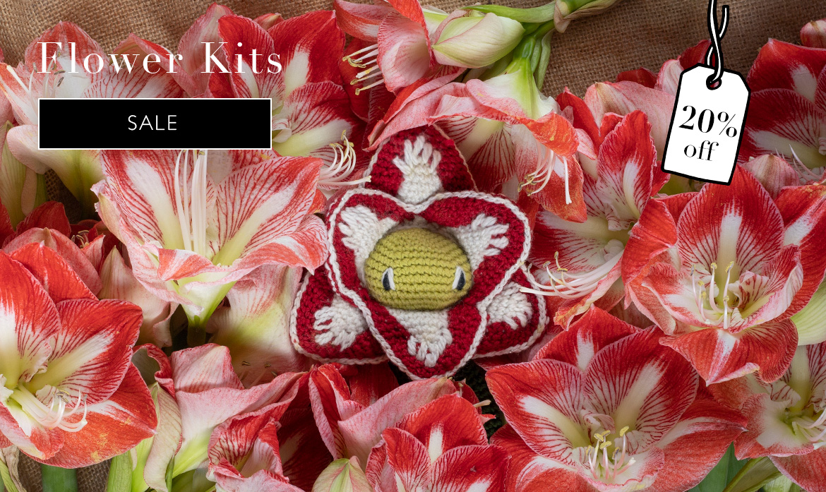 Flower kits sale amaryllis christmas display crochet patterns